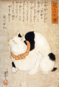 japan-cat